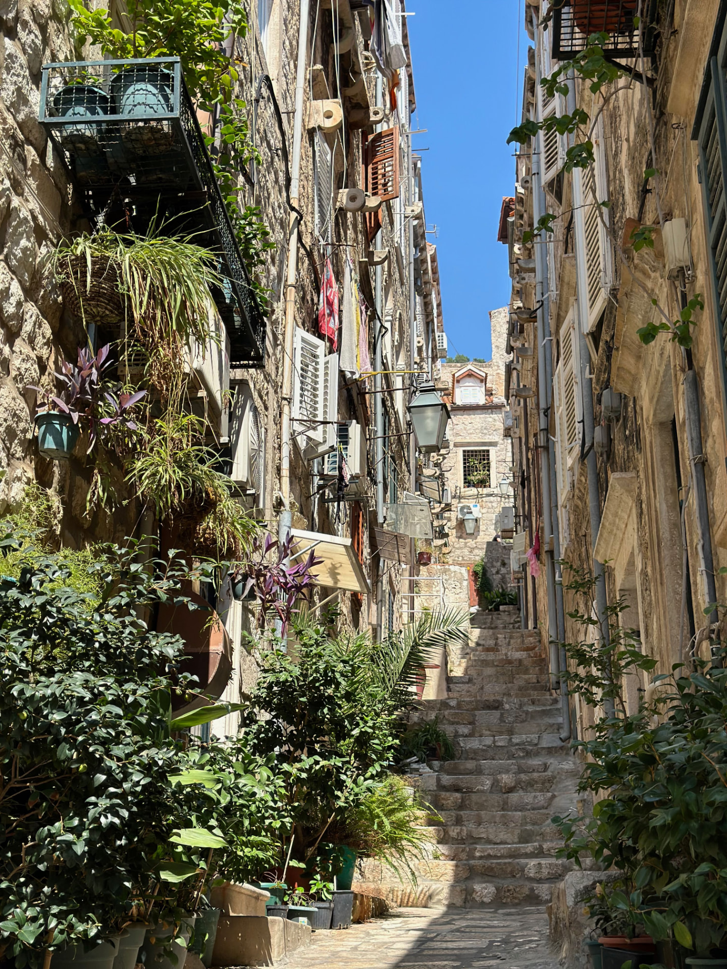 Narrow stone stairway lined with plants in Dubrovnik Old Town